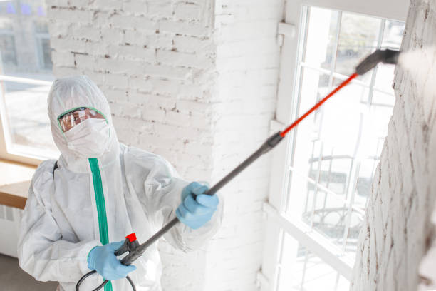Mold Remediation for Rental Properties in Watkinsville, GA