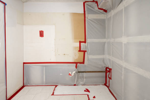 Best Residential Mold Inspection & Testing  in Watkinsville, GA