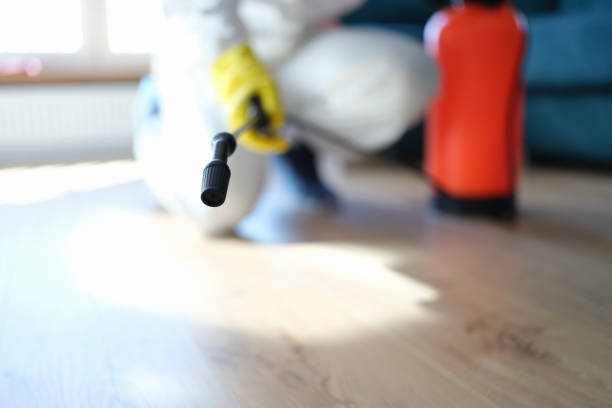 Best Dehumidification Services  in Watkinsville, GA