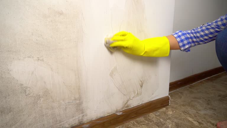 Best Comprehensive Air Testing for Mold Contaminants  in Watkinsville, GA