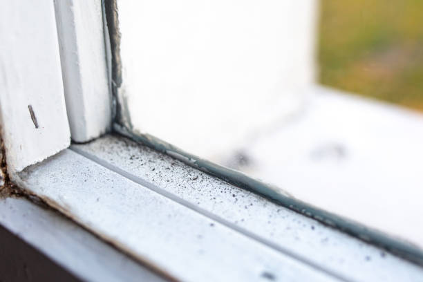 Best Real Estate Mold Inspection  in Watkinsville, GA