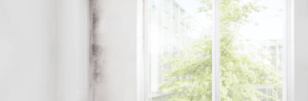 Best Indoor Air Quality Assessment  in Watkinsville, GA