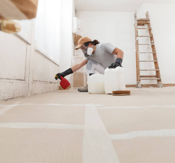  Watkinsville, GA Mold Removal Pros