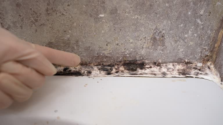 Best Industrial Mold Remediation  in Watkinsville, GA
